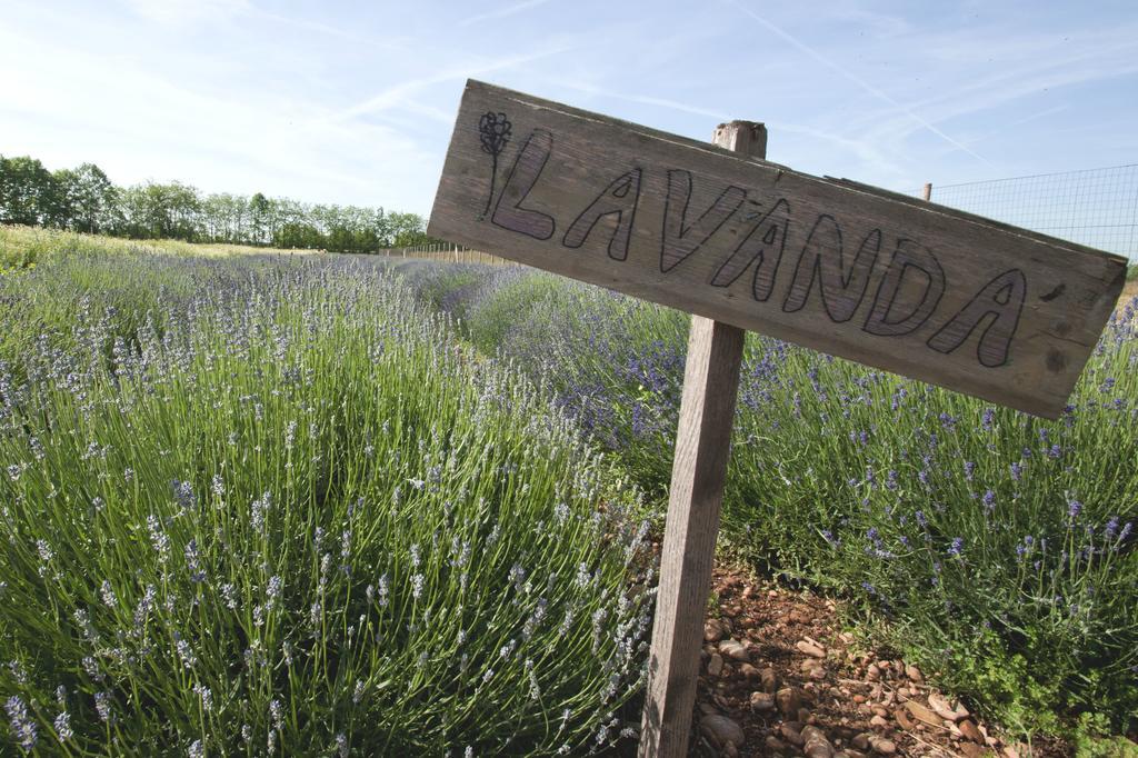 Comeback Stezzano Extérieur photo